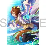 Agnes Tachyon (Q ≠ 0) A4 Clear File Vol. 17 "Uma Musume Pretty Derby"