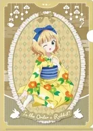 Shari A4 clear file "Is the Order a Rabbit? BLOOM"