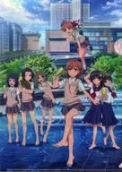 Conjunto de carpetas transparentes A4 "To Aru Kagaku no Railgun" y productos de promoción regional 2021 de los gobiernos locales