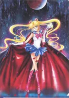 [単品] C.セーラームーン A4クリアファイル 「美少女戦士セーラームーンミュージアム」