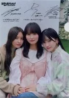 Sha privada Ver. A4 Clear File "Nikkei Entertainment! February 2025" Seven-Eleven & Seven Net Shopping Purchase benefits Nogizaka Haruka Kaki