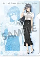 [New] Asaginu Sakurajima's summer vacation (plain clothes version) drawing A4 plastic trasparent file folder "Seishun Butataro Series"