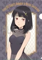 Fissel Harveller Clear File Dress Coordinate ver "Você é um mestre da espada em um país distante"