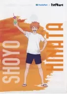 日向翔陽/影山飛雄 オリジナルA4クリアファイル 「ハイキュー!!×ファミリーマート」 対象商品購入特典 第1弾