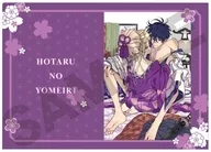 パープル A4シングルクリアファイル 「ホタルの嫁入り」