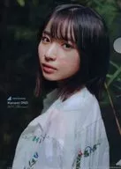 大野愛実(日向坂46) B5両面クリアファイル 「週刊プレイボーイ 2025年11月3日号 No.44」 ローソン購入特典
