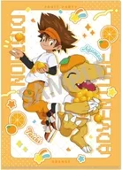 八神太一＆アグモン/八神ヒカリ＆テイルモン(フルーツパーティー) A4シングルクリアファイル 「デジモンアドベンチャー」