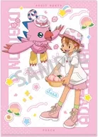 武之内空＆ピヨモン/太刀川ミミ＆パルモン(フルーツパーティー) A4シングルクリアファイル 「デジモンアドベンチャー」