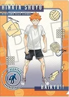日向翔陽 クリアファイル 体力測定 「ハイキュー!!」