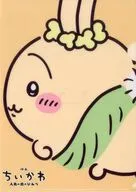 うさぎ オリジナルA4クリアファイル 「映画ちいかわ なんか小さくてかわいいやつ 人魚の島のひみつ」 ムビチケカード第1弾購入特典