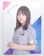 与田祐希(乃木坂46) 個別クリアファイルホルダー 「真夏のドリームくじ2021 第4弾」