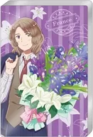 French Acrylic Figure Memory Stand "Hetalia World ★ Stars"
