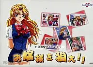 AIM FOR YOUR DAUGHTER! plastic trasparent file folder