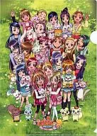 Collection A4 plastic trasparent file folder "Eiga Precure All Stars DX3 Reach the Future! Connect the World ☆ Rainbow-colored Flower" Precure Pia Pia BOOKSHOP reservation privilege