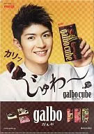 Miura Haruma Clear File Meiji Garbo Cube Campaign Goods