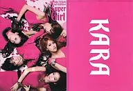 KARA A4 Clear File "CD+DVD Supergirl JAPAN TOUR Special Edition" First First-Order Prize Privilege