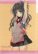 Yuki Mikan ver. 3 POCKETS Clairvoyant clear file "TO LOVE RU - To Love Ru - Darkness" jump SQ. 19 Autumn limited prize