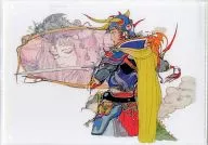 Warrior of Light : Clear file Vol. 1 "Final Fantasy"