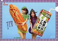 Haruna Kojima & Tomomi Itano AKB48 Vegetable Sisters Clear File 「 Kagome Yasai Ichinichi Koreippon Campaign 」