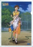 Toyohara Etsuko (Mizumaki) A4 clear file 「 Super Real Mahjong P7 」