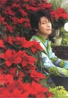 [単品]及川光博(ポインセチア) スキ!トオルん。(A4クリアファイルセット) 「及川光博ワンマンショーツアー2010“美しき世界”」