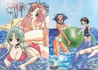 Set (Swimsuit) A4 Clear File 「 DearS - Deers - 」