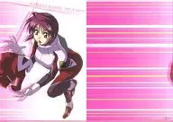 Lunamaria Hawke A4 Clear File D 「 MOBILE SUIT GUNDAM SEED DESTINY 」