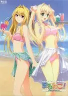 [単品] まるねこ! A4クリアファイル 「C70 戯画セット’06夏」