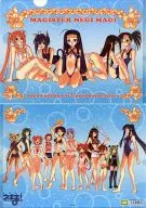 Set A4 clear file "NEGIMA! MAGISTER NEGI MAGI"