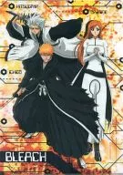 Ichigo KUROSAKI, Orihime Inoue e Fuyushijiro HIBANYA A4 Clear File "BLEACH-BLEACH -"