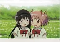[A la carte] Homura & Madoka A4 ClearFile "Movie Version Magi Shojo Madoka ☆ Magica Compilation of Keyanimation ClearFile"