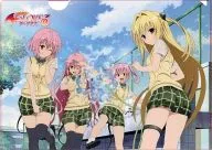 Gathering (4 people / playing with water) A4 plastic trasparent file folder "TO LOVE RU - To Love Ru - Darkness"