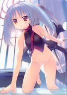 Tsurara A4 Clear File 「 PSP Dungeon Travelers 2 」 Yodobashi Camera Purchase benefits