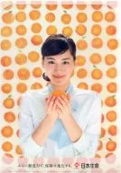 Haruka Ayase (Orange) A4 clear file Nippon Life novedad Goods