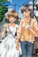 小笠原祥子&福泽祐巳(便装)文件夹Cobalt 2010年7月号赠品