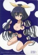 夜刀神十香B5水玉文件夹月刊Dragon Age 2014年5月号赠品