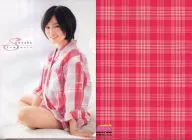 Sayaka Yamamoto / Pajamas (NMB48) B5 Premium Clear File Young Animal 2013 No. 11 7-ELEVEN convenience stores Limited Edition