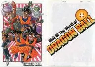 Set (Vertical / Back Side 4 Star Ball) A4 Clear File 「 Akira Toriyama The World of Dragonball 」 Exhibition Limited Goods