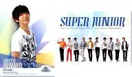 SUPER JUNIOR + Yeson A4 Clear File Set (2-Pack) "SMTOWN LIVE WORLD TOUR III"