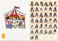 SKE48A4 clear file "AKB48 Super Festival - Nissan Stadium, small! small! -"