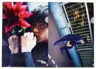 Sota Fukushi A4 plastic trasparent file folder (2-Pack) Ver. 4 "Sota Fukushi Fan Event 2014"