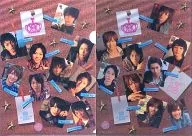 D-BOYS A4 plastic trasparent file folder (Cork Board Style) 2009