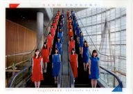 Nogizaka 46A4 Clear File (horizontal ver.) "Individual Handshake Event for Each Chair"