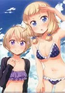 Sakura Nene & Hoshikawa Hotaru A4 Sparky Clear File "Comics NEW GAME! 4 Volumes & NEW GAME! 5 Volumes -THE SPINOFF! -" animate Linked Purchase benefits