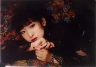 南條愛乃(FripSide)原創A4文件夾Gamers購入特典