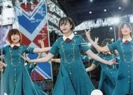 欅坂46 A5ミニクリアファイル 「DVD/Blu-ray 欅共和国2017」 山野楽器購入特典