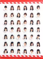 [单品]NGT48 A4文件夹附属品