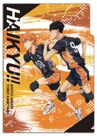 Hyuga & Kageyama 3 pocket clear file dash! 「 Haikyu! 」