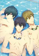 A A4 clear file "Free! -Dive to the Future -"