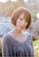 Anil A4 Clear File "CD FRAGMENT" HMV Buy Privilege